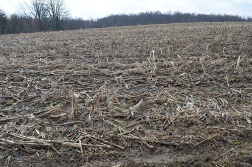 Property photo 60 - 98+/- Acres Offered in 6 Tracts or Combinations, Noble County, Indiana Farm